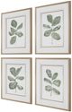 Uttermost® Fiddle Head 4-Piece Leaf Framed Print Art Set-3