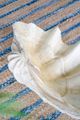 A & B Home White Natural Large Clam Shell Accent-2
