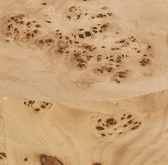 Meridian Furniture Burl End Table - Thumbnail 3