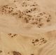 Meridian Furniture Burl Natural Ash End Table-4