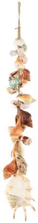 A & B Home Brown/White Ocean Treasures Shell-0