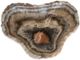 A & B Home Raphael Black Striated Hand-Carved Onyx Bowl-0