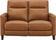 Aurora Furniture Timberland Cognac Power Reclining Loveseat-0