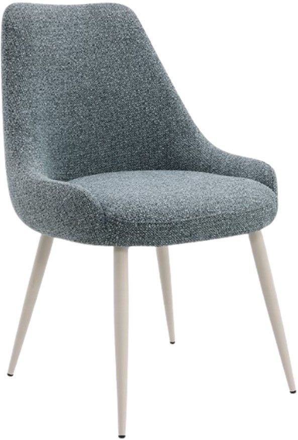 ACME Furniture Laela 2-Piece Light Blue/White Dining Side Chair Set-0