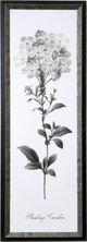 Stylecraft Slender Leadwort Black/White Wall Art-0