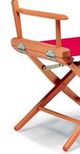 Telescope Casual World Famous Director Chair Dining Height Arm Chair-1