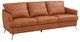 ACME Furniture Safi Cappuccino Sofa-0