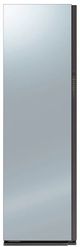 Samsung 24" Mirror Finish Grand Clothing Care System AirDresser-0