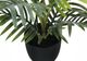 Monarch Specialties Inc. Green/Black 20" Artificial Potted Palm-1