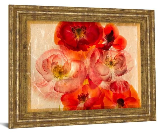 Classy Art Papaver Dreams I by Harold Davis Wall Art-1