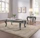 ACME Furniture Ariadne Platinum End Table-1