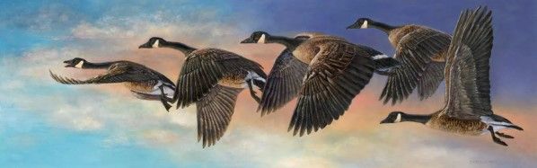 Classy Art Ascent by Carolyn Mock Framed Wall Art-1