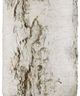 Currey & Company Faux Birch Gray/White Table Lamp-4