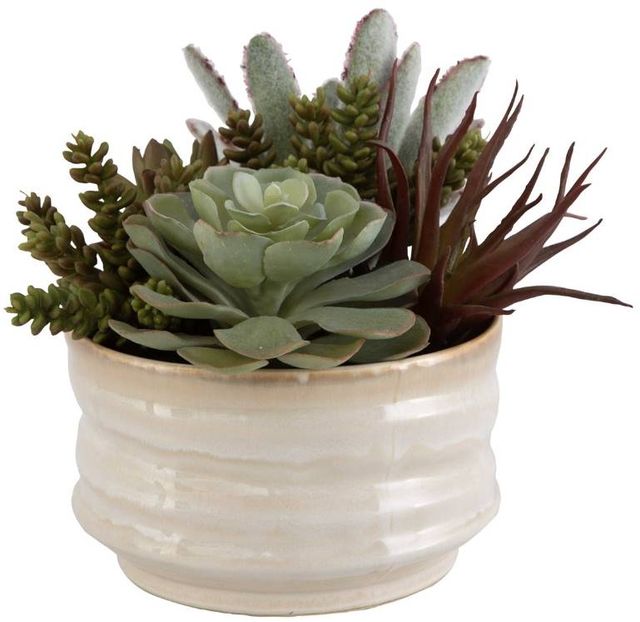Uttermost® Mesa Green/Tan Succulent Accent-2