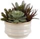 Uttermost® Mesa Green/Tan Succulent Accent-2