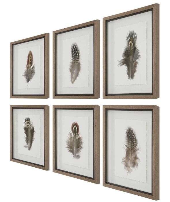 Uttermost® Birds of a Feather 6-Piece Framed Print Set-3