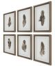 Uttermost® Birds of a Feather 6-Piece Framed Print Set-3