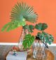 A & B Home Green Sellom Leaf-5