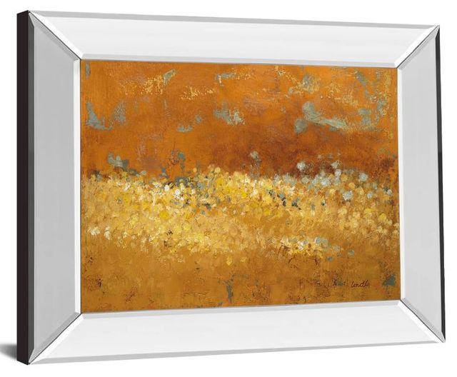 Classy Art Flower Fields Il by Lanie Loreth Mirror Framed Wall Art-1