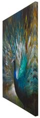 YHD Peacock Prowess Wall Art-3