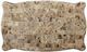 ACME Furniture Shalisa Multi-Tone Brown Marble Top Coffee Table and Walnut Base-3