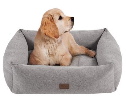 Olliix by Martha Stewart Charlie Grey 23" x 28" + 9" Four Sided Bolster with Ortho Base and Removable Cover-2