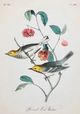 StyleCraft Vintage Warbler IV Wall Art-1