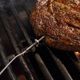 Weber® Premium Wired Food Probe-1