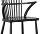 Furniture Classics Oakland Satin Black Arm Chair-1