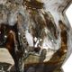 Uttermost® Cuoco Mottled Brown Table Lamp-4