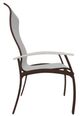 Telescope Casual Belle Isle Abalone/Kona Aluminum/Fabric Outdoor Sling Supreme Arm Chair with Laguna Rustic Polymer Arm Accent-2