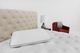 Stearn & Foster® Latex Pillow-1