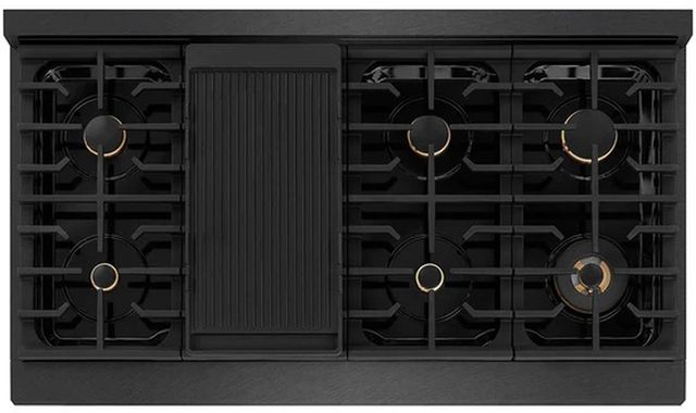 ZLINE Designer Paramount 48" Black Satin Stainless Steel Pro Style Dual Fuel Range with 8 Burner Gas Cooktop-2
