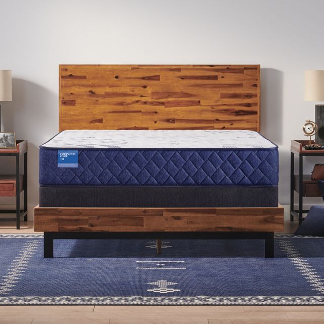 Sealy® Carrington Chase Stately 12" Innerspring Soft Tight Top Twin Mattress-2