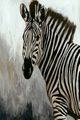 Classic Home Zebra Painting by Buddy Whitlock-1