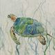 Stylecraft Sea Turtle Swim II Beige/Blue/Green Wall Art-1