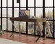 VIG Furniture Ferris Brown Office Desk-4