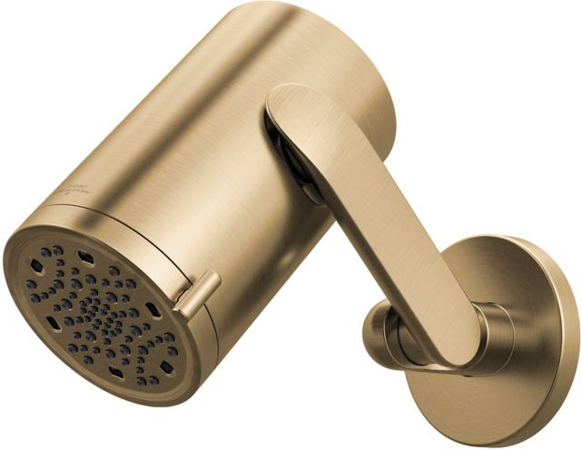 Brizo Roccesco™ Brilliance® Luxe Gold® Multi-Function Sconce Wall Mount Shower Head with Jointed Shower Arm and Flange-0