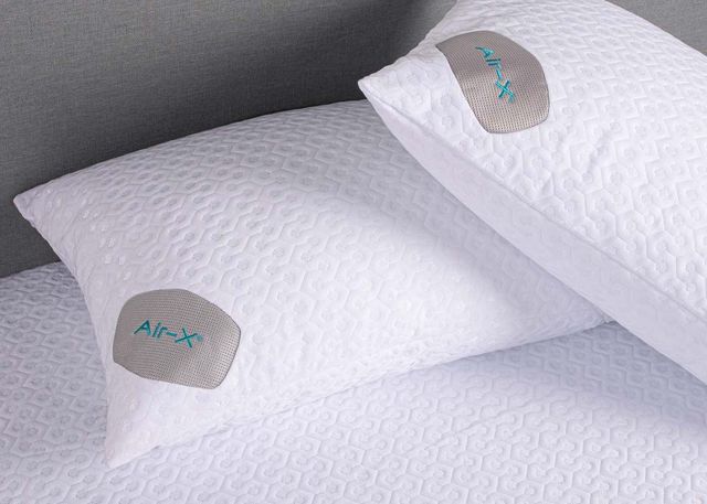 BEDGEAR® Dri-Tec® Air-X™ Queen Pillow Protector-4