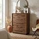LH Home Nevada Dark Driftwood Chest-1