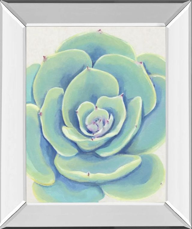 Classy Art Pastel Succulent IV by Tim OToole Mirror Framed Wall Art-0