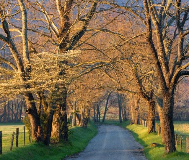 Classy Art Sunset Path by Jimmy’z Wall Art-1