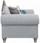 ACME Furniture Pelumi Light Gray/Platinum Chair-2