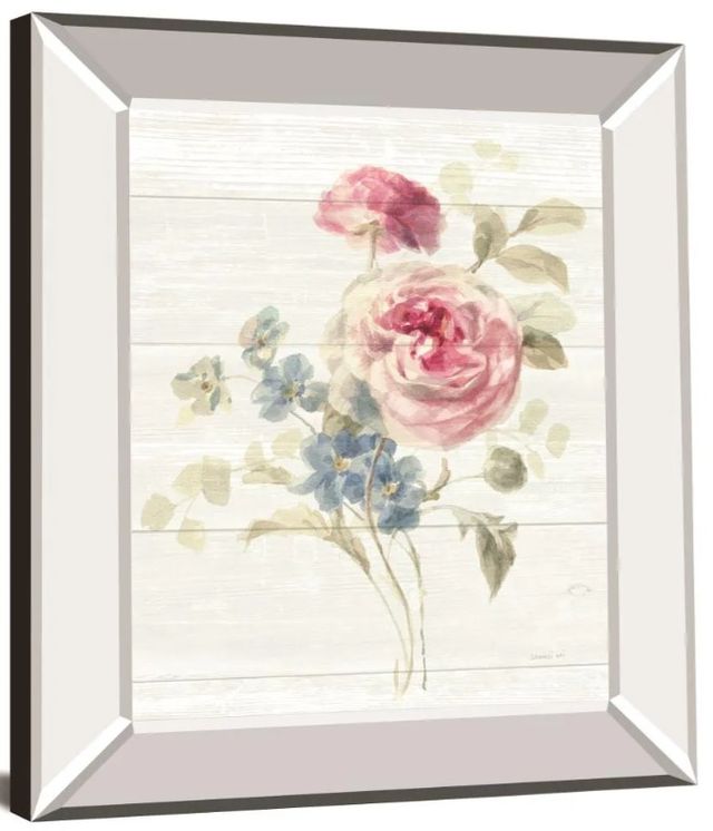 Classy Art Cottage Garden II Shiplap by Danhui Nai Mirror Framed Wall Art-1