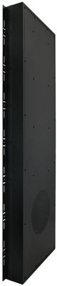 Sonance® R10SUB KIT Black Subwoofer System with DSP-5