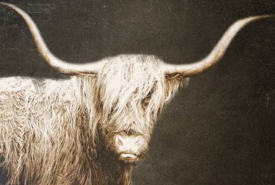 Stylecraft Dark Brown/White Wall Art-1
