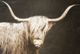 Stylecraft Dark Brown/White Wall Art-1