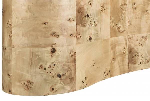 Meridian Furniture Zaire Burl Coffee Table-4