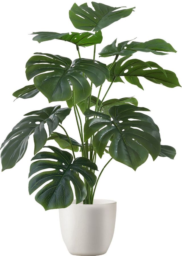 Monarch Specialties Inc. 24" Artificial Monstera Tree with White Pot-0