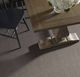  Shaw® Floors Pet Perfect Plus Emergence Flax Carpet-3